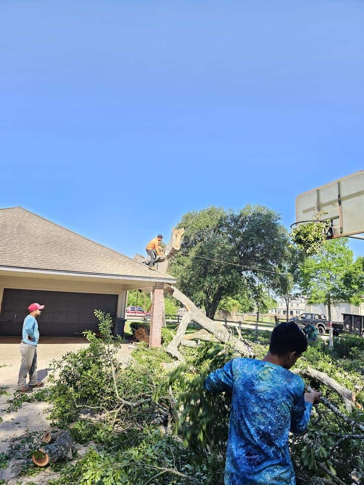 Hillcrest Outdoor Services crew on the job