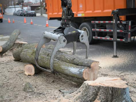 Debris hauling service