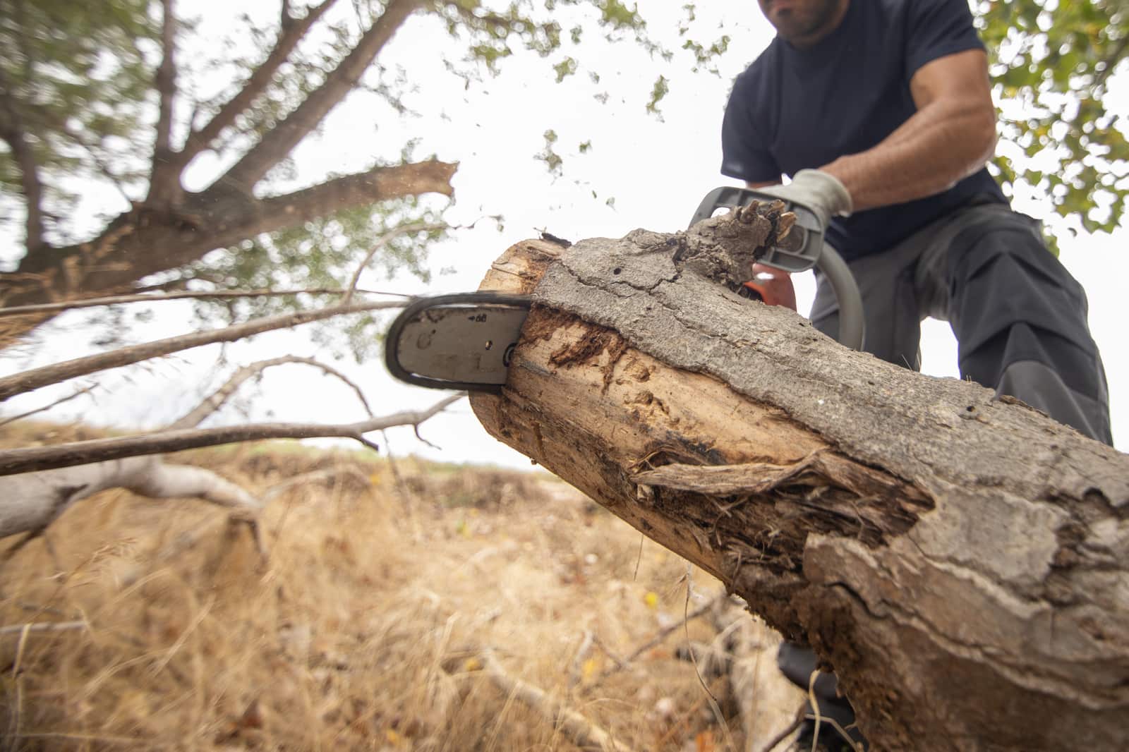 Land clearing service